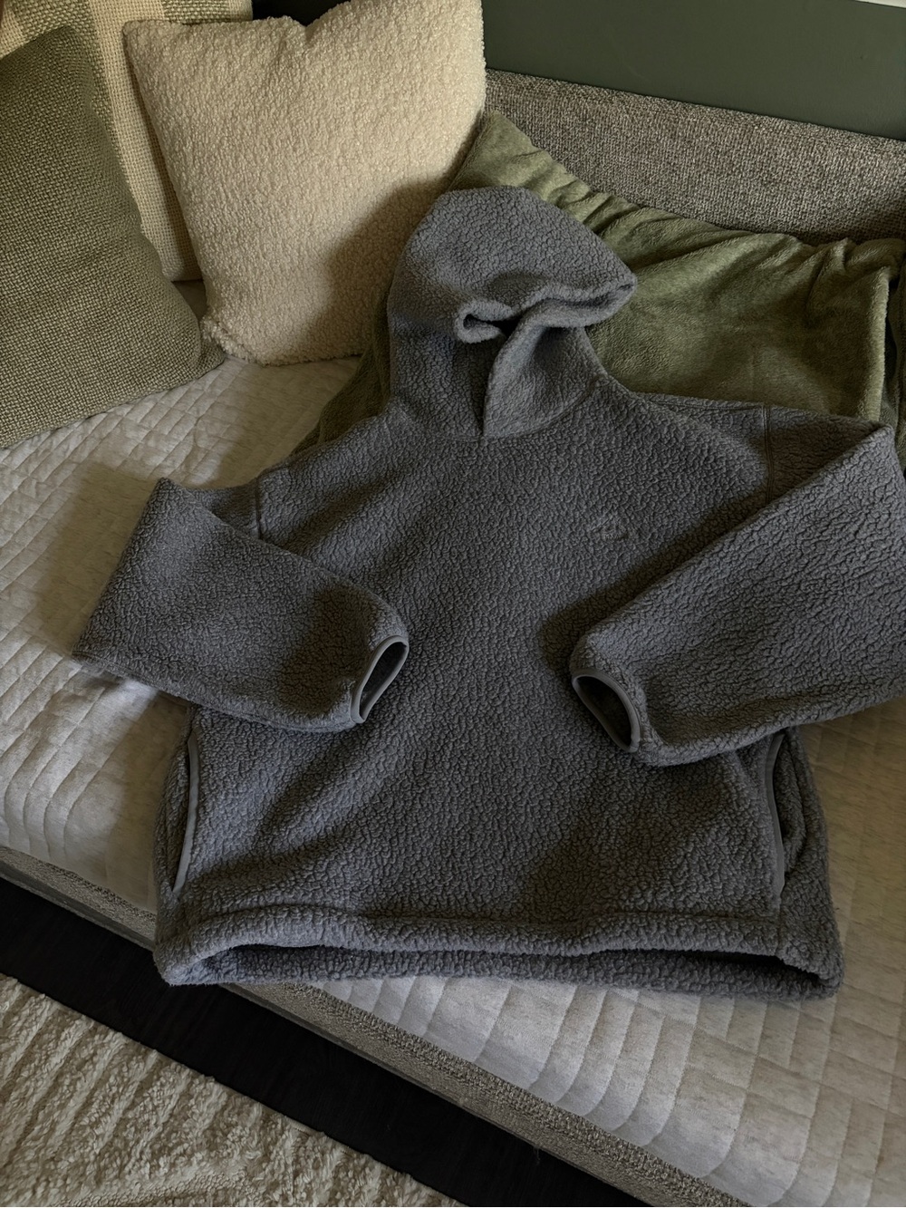 Aritzia Polartec Hoodie